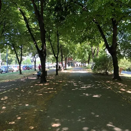 Daire Apartment Green *