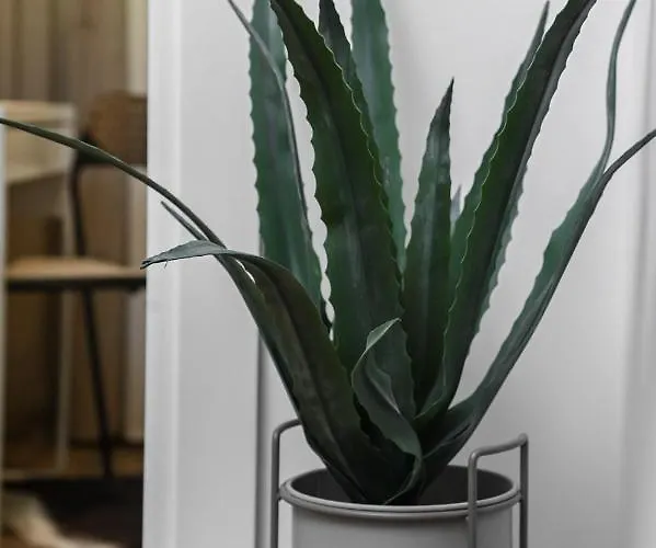 아파트 Apartment Green *